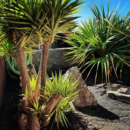 Fashion Armonia, Heated Pool Playa Blanca (Lanzarote)